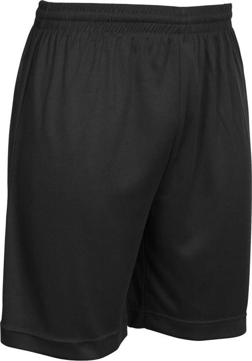 Actual product image Stanno Field Shorts (116)