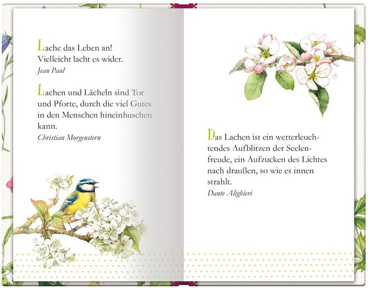 Produktbild Kleine Weisheiten: Jeder Tag ist schön (Deutsch, Marjolein Bastin, 2013)
