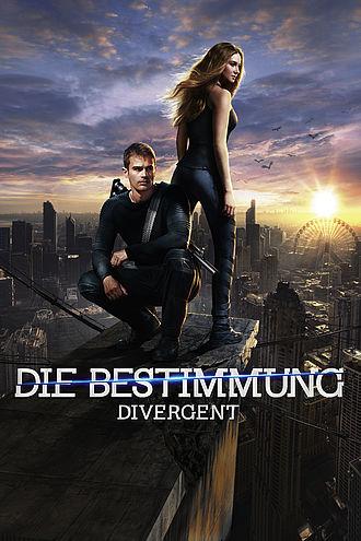 Actual product image The Destiny - Divergent (DVD, German)