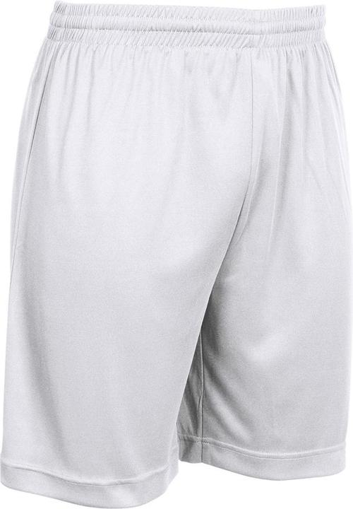 Actual product image Stanno Field Shorts (116)