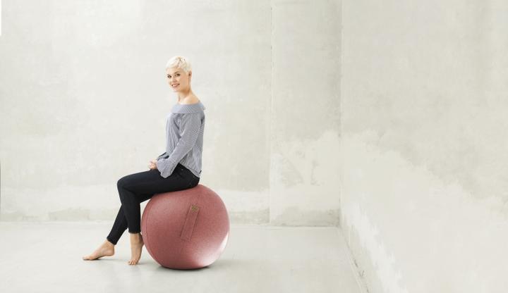 Produktbild Sitting Point Sitzball Felt (65 cm)