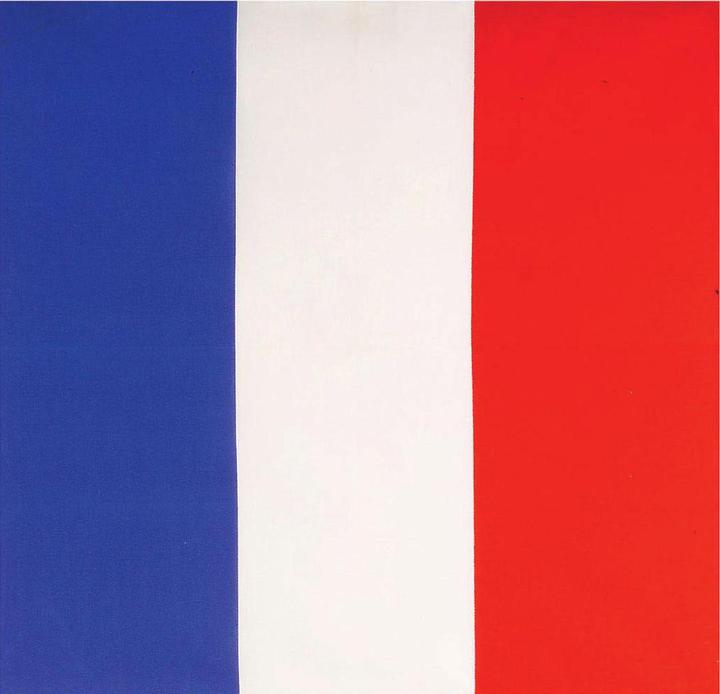 Produktbild Widmann Bandana Frankreich