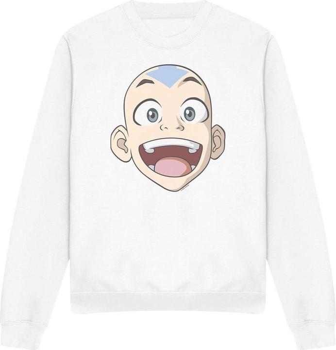 Avatar: The Last Airbender Sweatshirt (S)