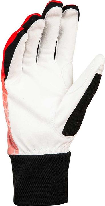 Daehlie Race Warm Handschuhe (5)