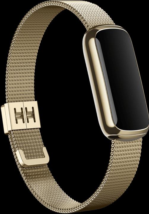 Actual product image Fitbit Luxe stainless steel bracelet (Stainless steel)