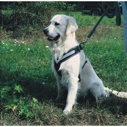 Actual product image Kleinmetall Allsafe (L, Dog, Walks, Jogging, Dog sport, Work)