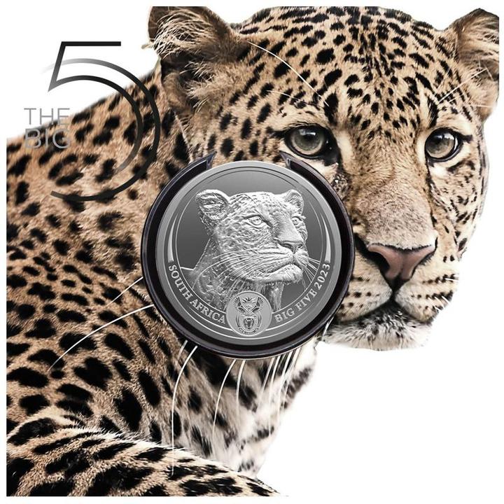 Produktbild South African Mint Silber Leopard 1 oz - Big Five Serie II - 2023 (999, 2023)