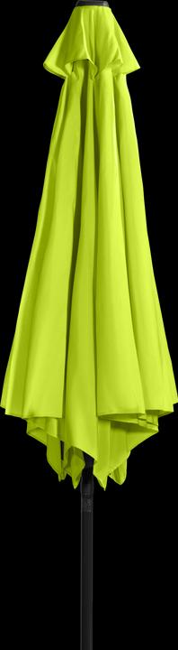 Actual product image Derby Basic Lift Neo (3 m)