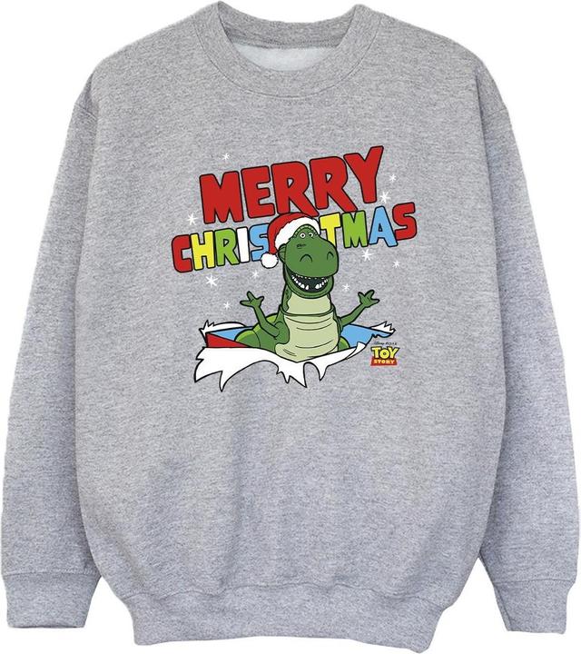 Disney Toy Story Rex Christmas Burst Sweatshirt Mädchen