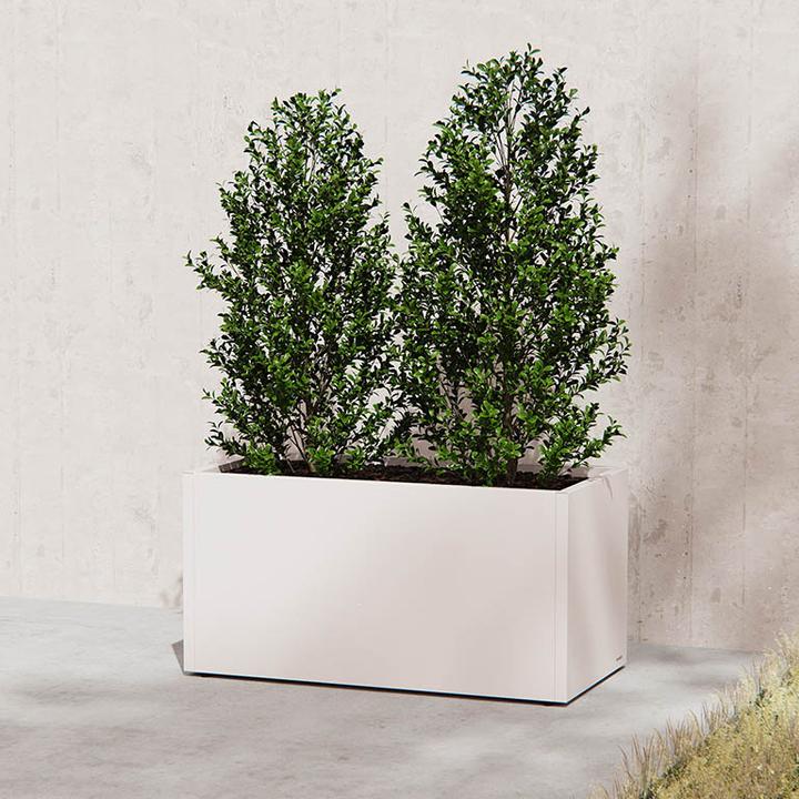 Image du produit Herstera Planter