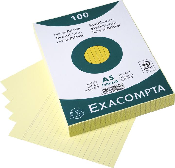 Image du produit Exacompta Fiches (148 x 210 mm, 205 g/m², 100 x)