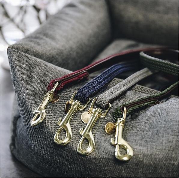 Produktbild Kentucky Dogwear Hundeleine Nylon geflochten (L, Hund)