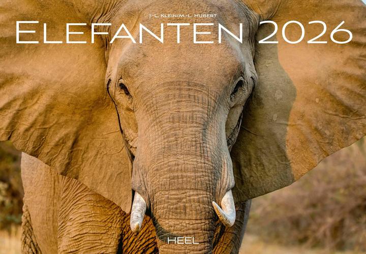 Actual product image Elefanten Kalender 2026 (Hardcover, German)