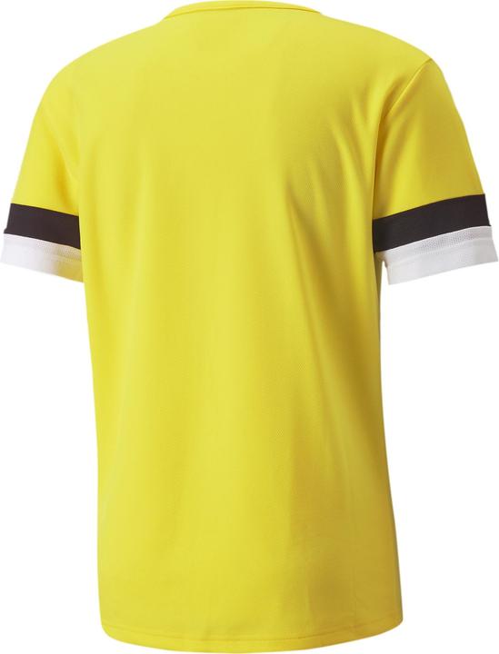 Actual product image Puma teamRISE Jersey-704932 (M)
