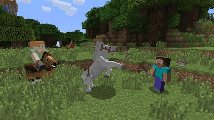 Immagine prodotto Nintendo Minecraft (Switch, Multilingue)