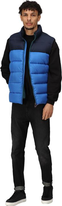 Actual product image Regatta Mens Vintage Colour Block Gilet (M)