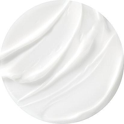 Image du produit Helena Rubinstein Re-PLASTY Crème de jour anti-âge (100 ml, Crème de jour)