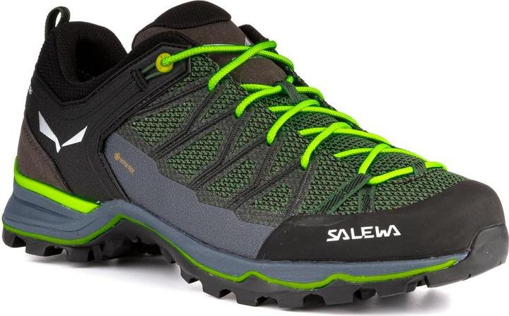 Image du produit Salewa Chaussures MTN Trainer Lite GTX (42.5)