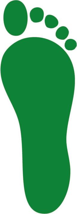 Actual product image Atlas ERGO-MED insole green, size 44