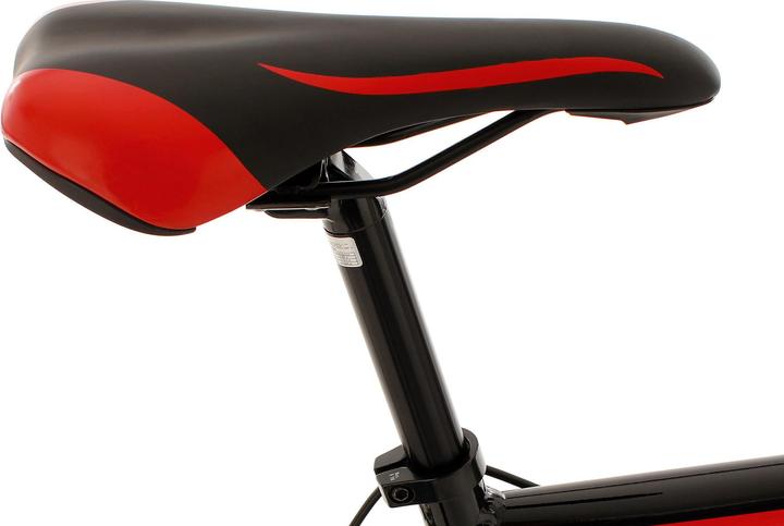 Actual product image KS Cycling euphoria (62 cm)