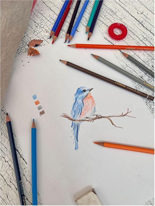 Actual product image STABILO Original premium coloured pencil (Multicoloured, 38 x)