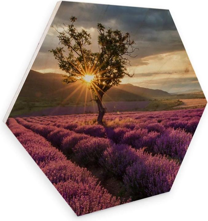 Produktbild Trenddeko Lavendelblüte in der Provence (35 x 30 cm)