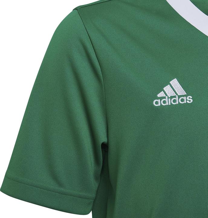 Immagine prodotto adidas Entrada 22 Maglia (128)