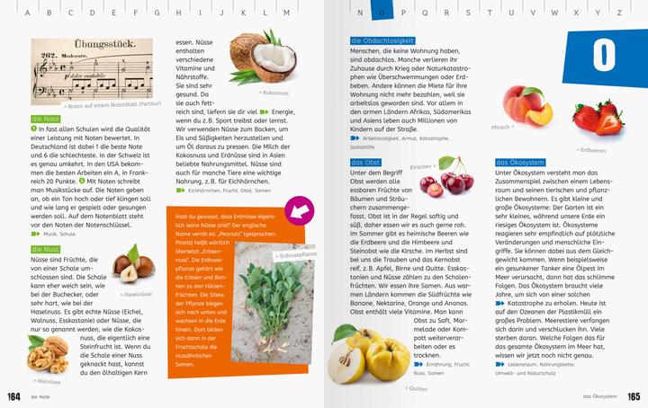 Produktbild Ravensburger Das Grundschullexikon von A bis Z (Deutsch, Claudia Köster-Ollig, Anke Schönfeld, Peggy Gampfer, 2023)