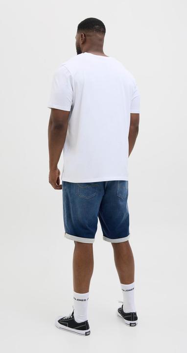 Produktbild Jack & Jones JJIRICK JJICON I.K. SHORTS GE 132 SN PLS (W38)