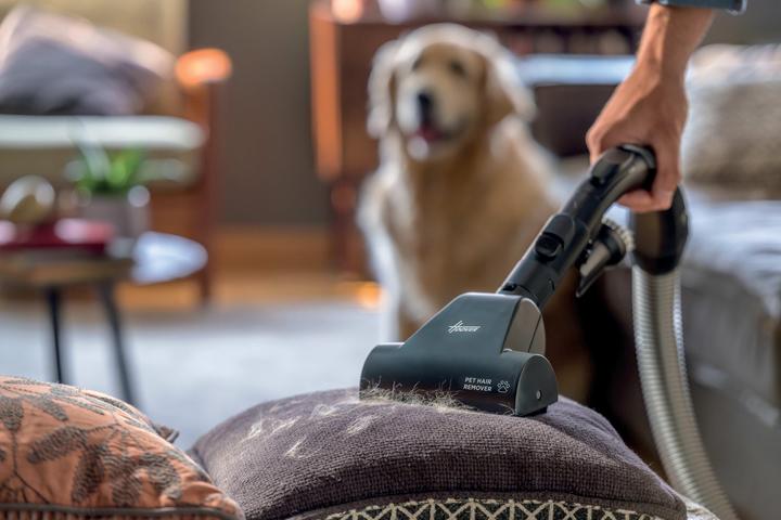 Actual product image Hoover H-ENERGY 700 HE720PET 011 5 l Cilinderstofzuiger Droog 850 W Stofzak