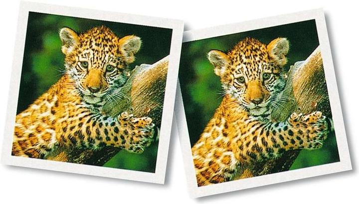 Actual product image Ravensburger Animal Baby Memory (German)
