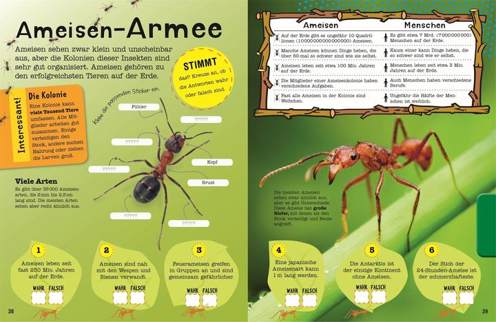 Image du produit Le livre de coloriage Mach Insectes