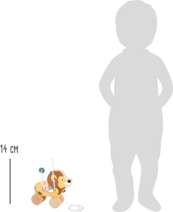 Actual product image small foot Lion Safari