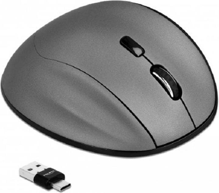 Actual product image Delock Ergonomic optical 5 buttons 7.60cm (3") 1 mouse 2.4 GHz and Bluetooth (Wireless)
