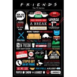 Image du produit Pyramid FRIENDS - Affiche 61X91 - Infographie (61 x 91 cm)