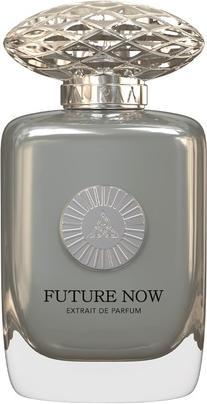 Auraa Desire Destiny Extrait De Perfume 100ml von Floral Sweet Spicy Fragrance Oud Nutmeg Cedarwood (Eau de Parfum, 100 ml)