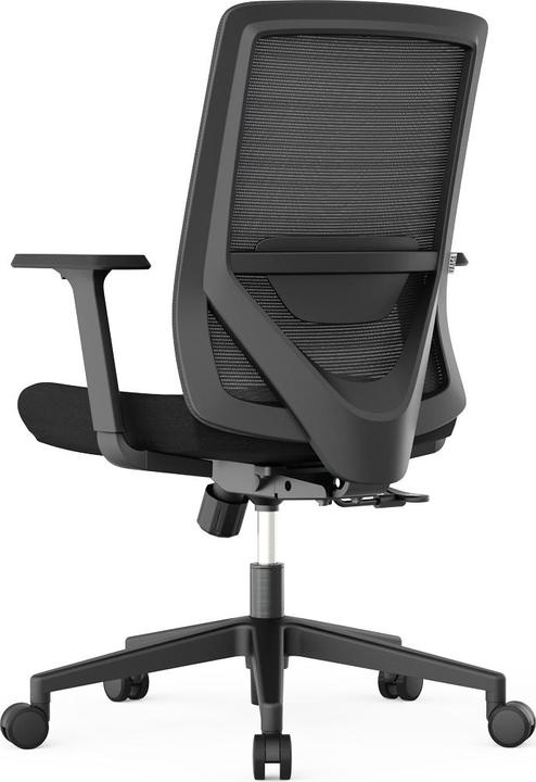 Actual product image Yaasa Chair Lite