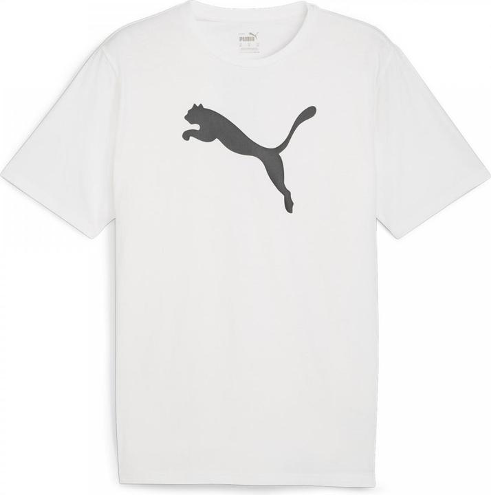 Produktbild Puma teamRISE Logo Jersey Cotton (XL)