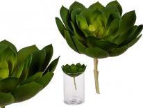 Ibergarden plant leaf tip (19 cm)