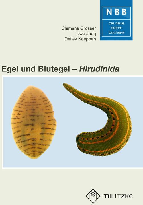 Produktbild Grosser:Egel und Blutegel (Deutsch, Uwe Jueg, Clemens Grosser, Detlev Dr. Koeppen, 2024)