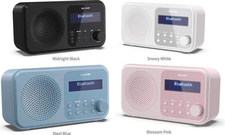 Immagine prodotto Sharp DR-P420 (DAB, FM, Bluetooth)