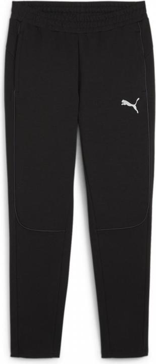 Puma teamFINAL Casuals Pants