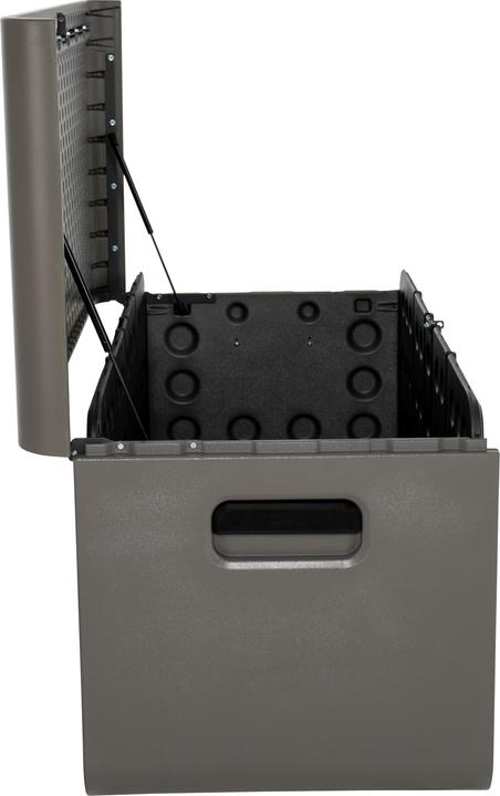 Actual product image Lifetime Kissenbox Space XL