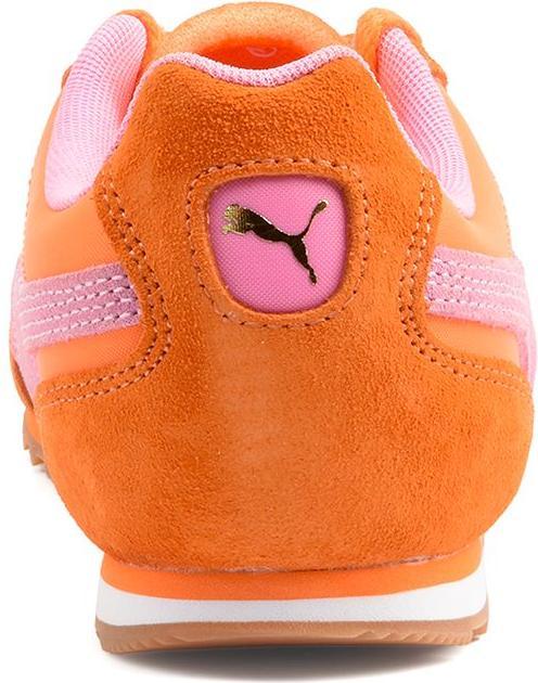Immagine prodotto Puma Nylon dell'Arizona (39)