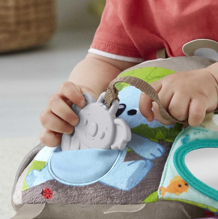 Actual product image Fisher-Price Sit & Snuggle Activity Book (Multilingual)