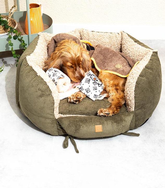 Actual product image Pet & Co. Ronny Cord Double Face - Khaki (Dog)