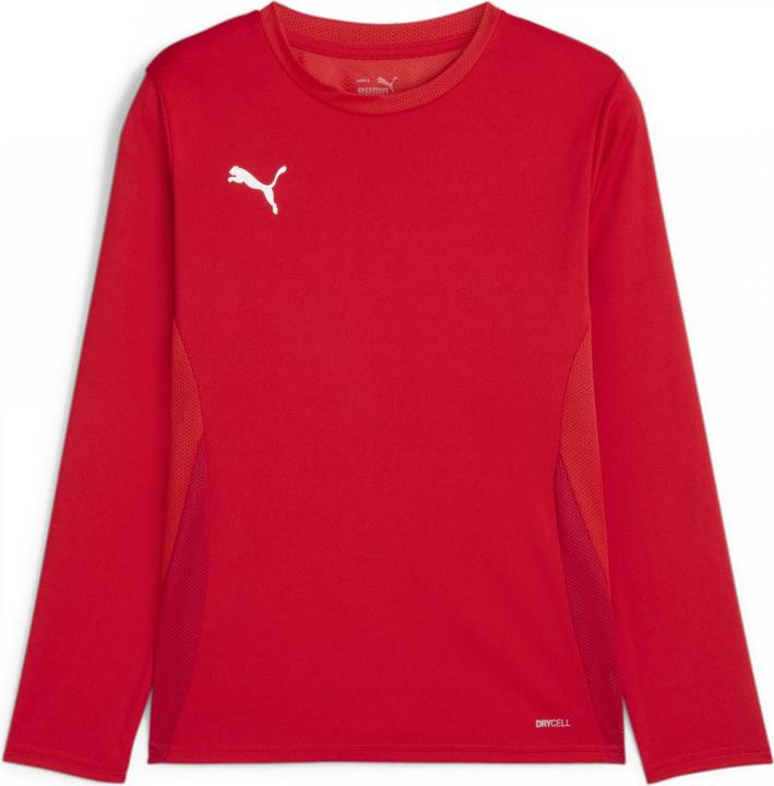 Actual product image Puma teamGOAL LS Jersey Jr (164)