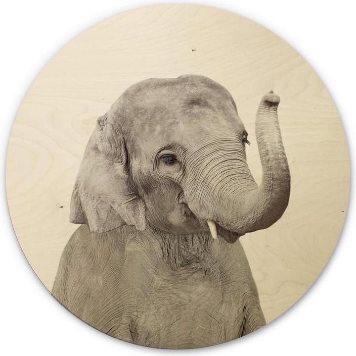 Produktbild Trenddeko Baby Elefant (Ø 30 cm)