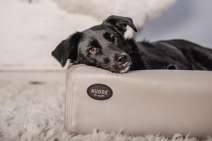 Image du produit Sabro Lit pour chien Kudde (Chien)