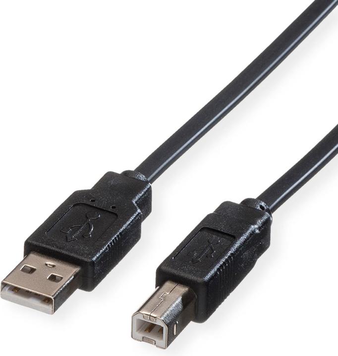 Productafbeelding Roline USB 2.0 (0.80 m, USB 2.0)